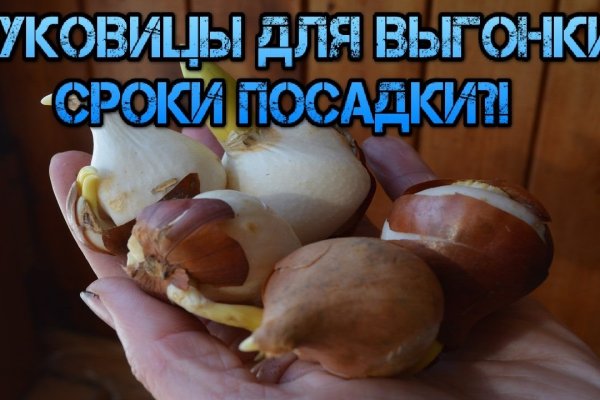 Kraken onion зеркало