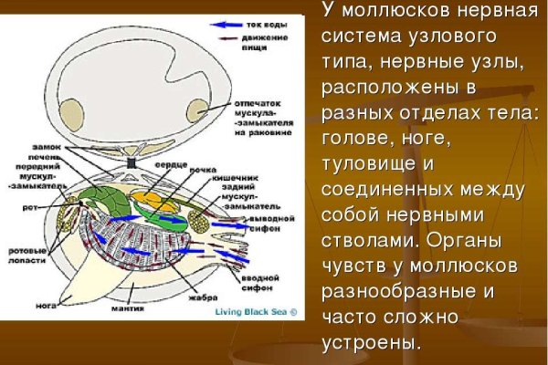 Kraken дарк магазин
